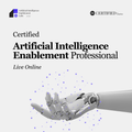 Artificial Intelligence Enablement Professional - LO