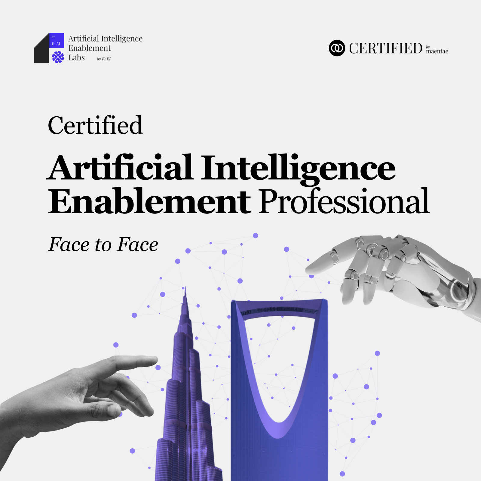 Artificial Intelligence Enablement Professional - F2F
