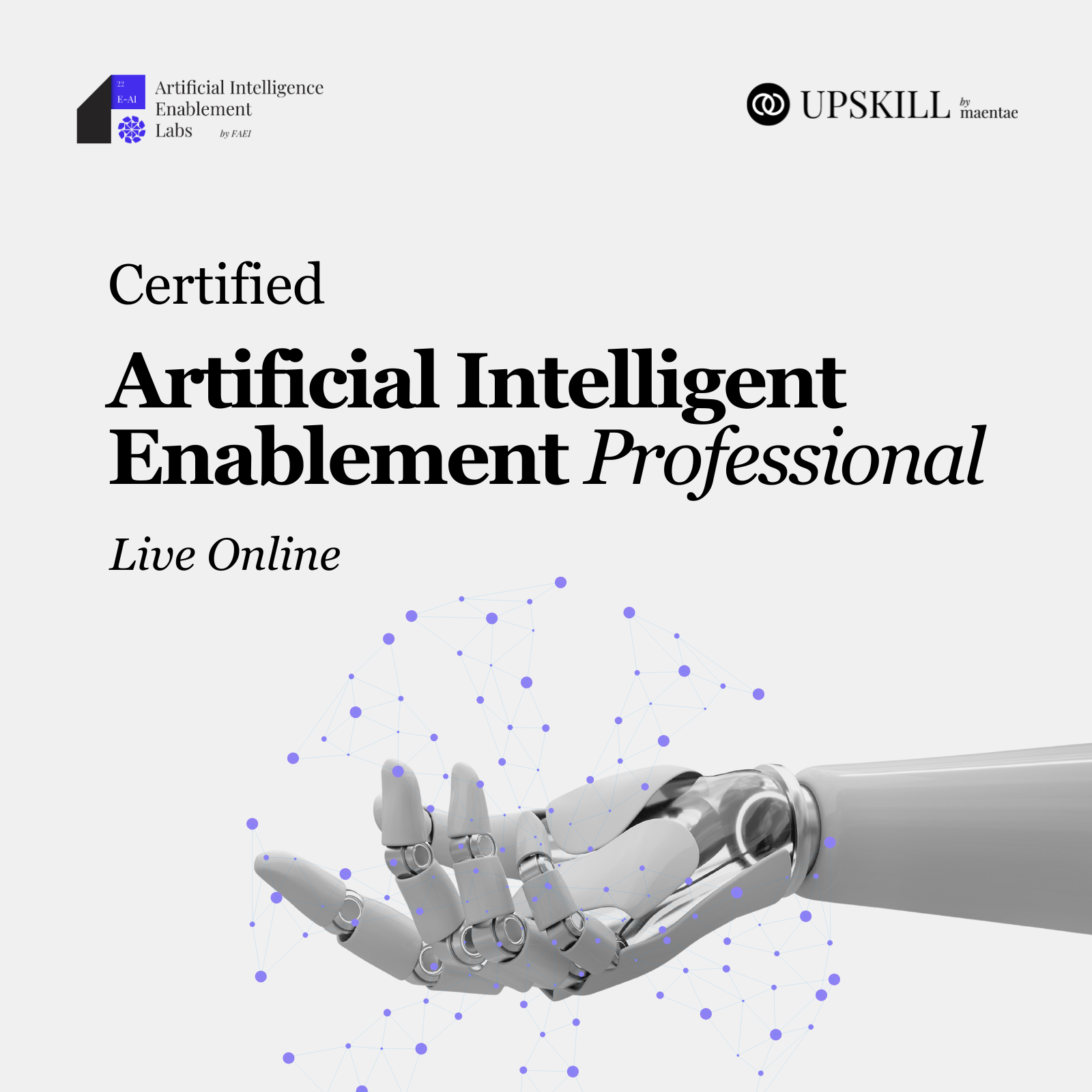 Artificial Intelligence Enablement Professional - LO
