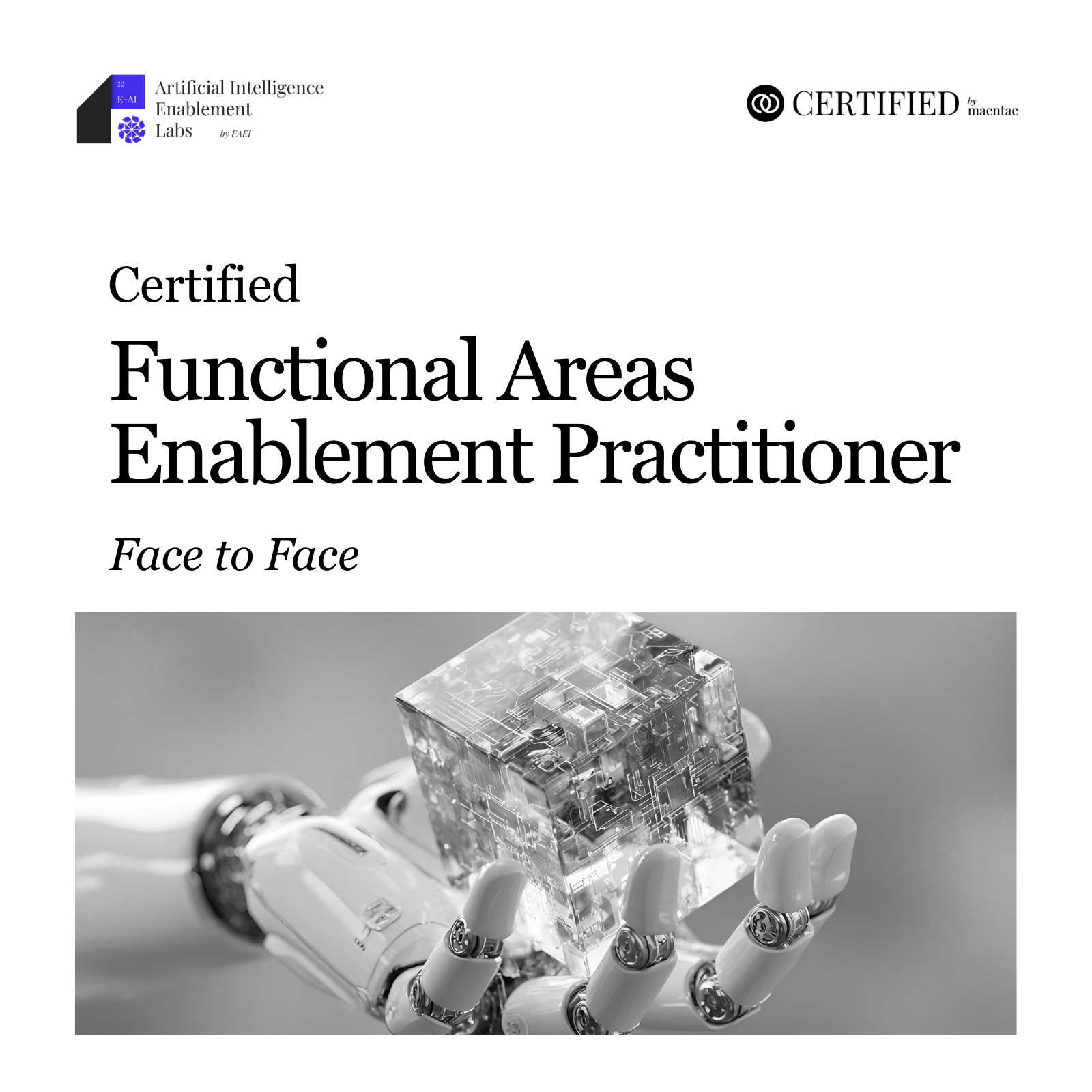 Artificial Intelligence Enablement Practitioner - F2F