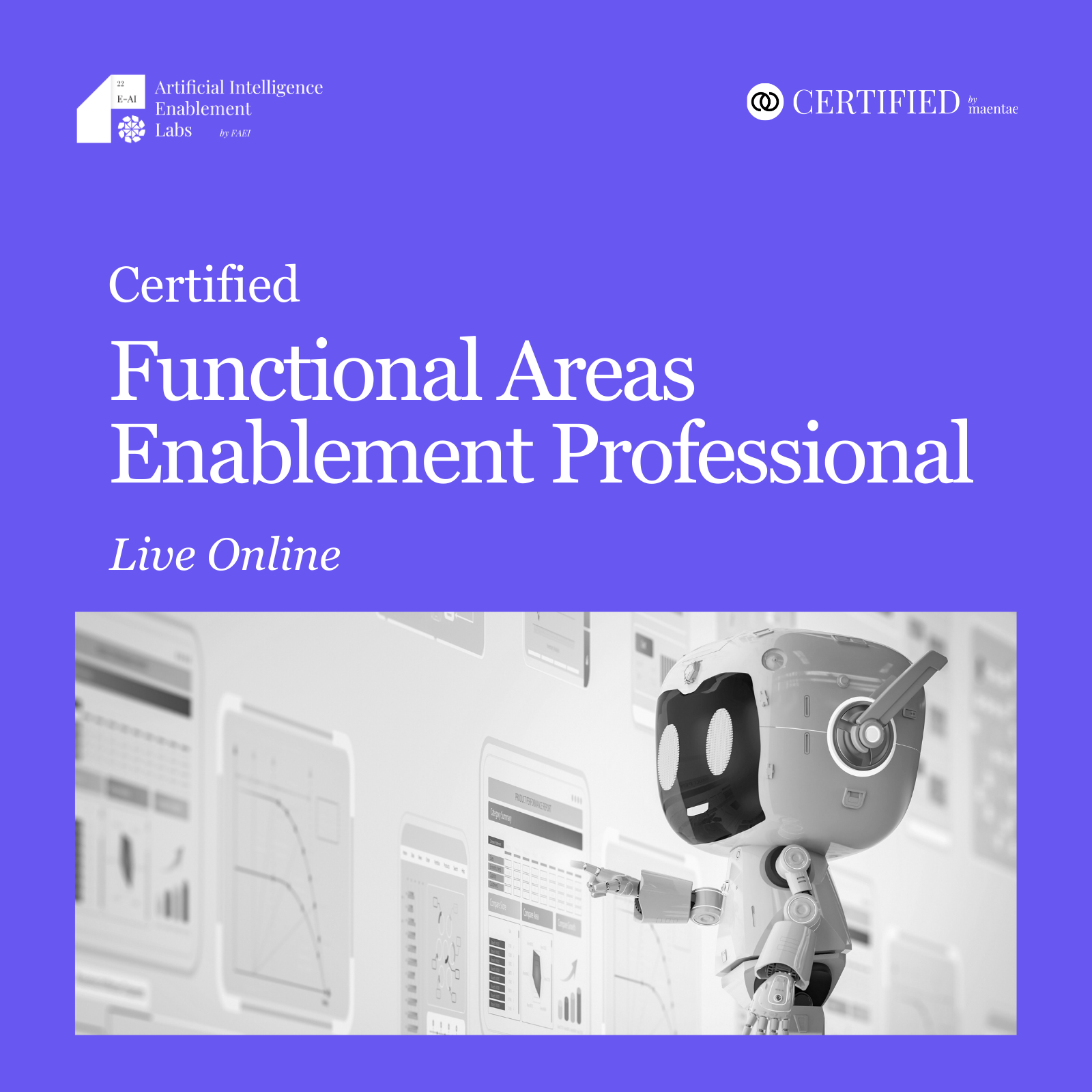 Artificial Intelligence Enablement Professional - LO