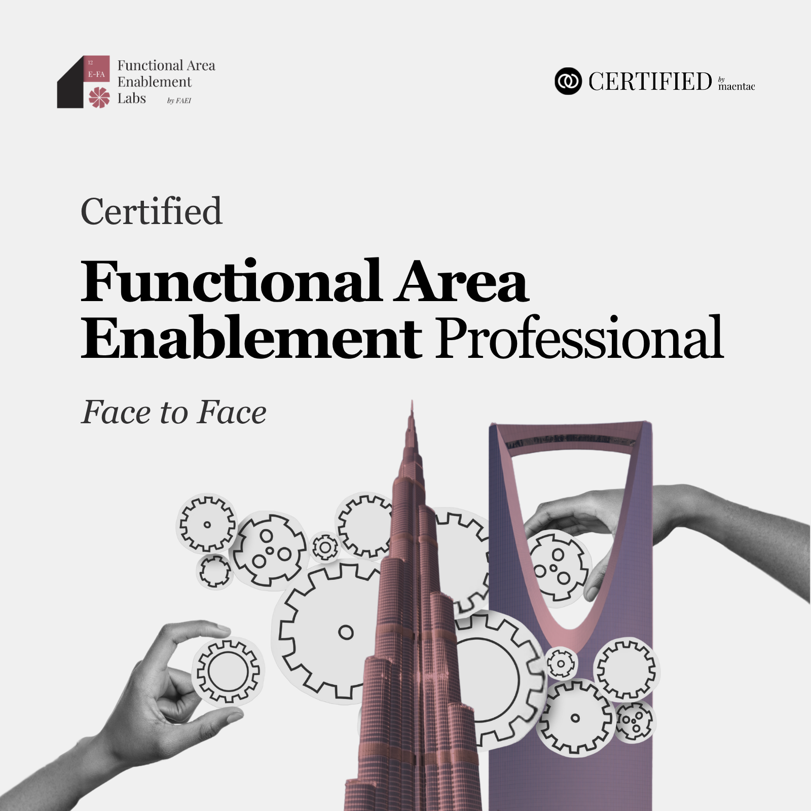 Functional Areas Enablement Professional - F2F