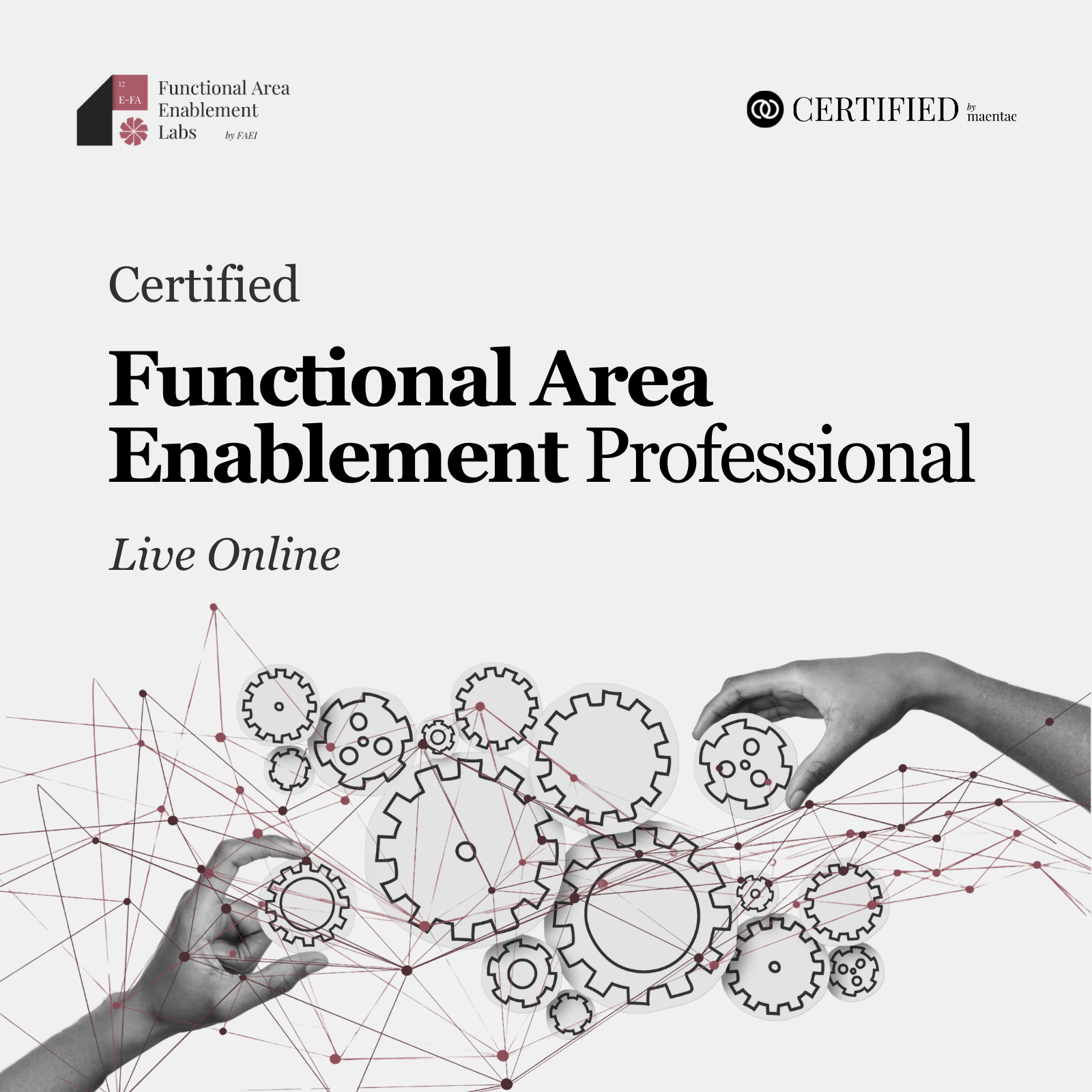 Functional Areas Enablement Professional - LO