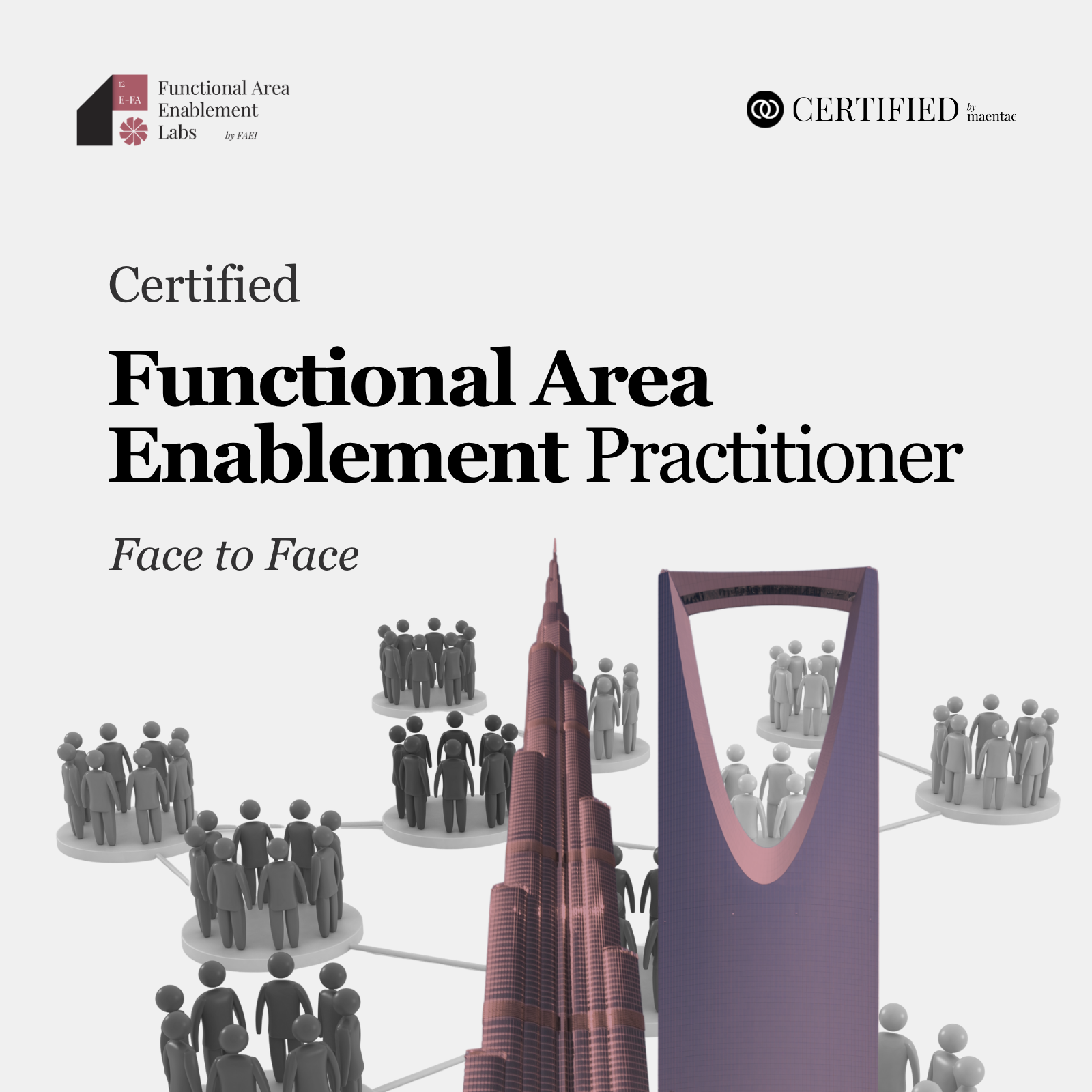 Functional Areas Enablement Practitioner - F2F