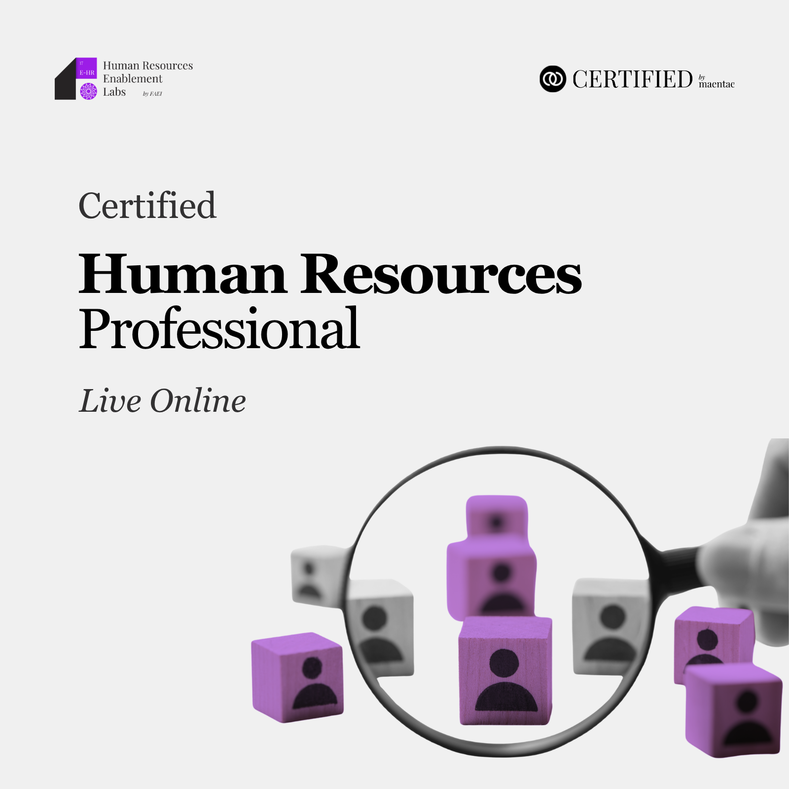 Human Resource Enablement Professional - LO