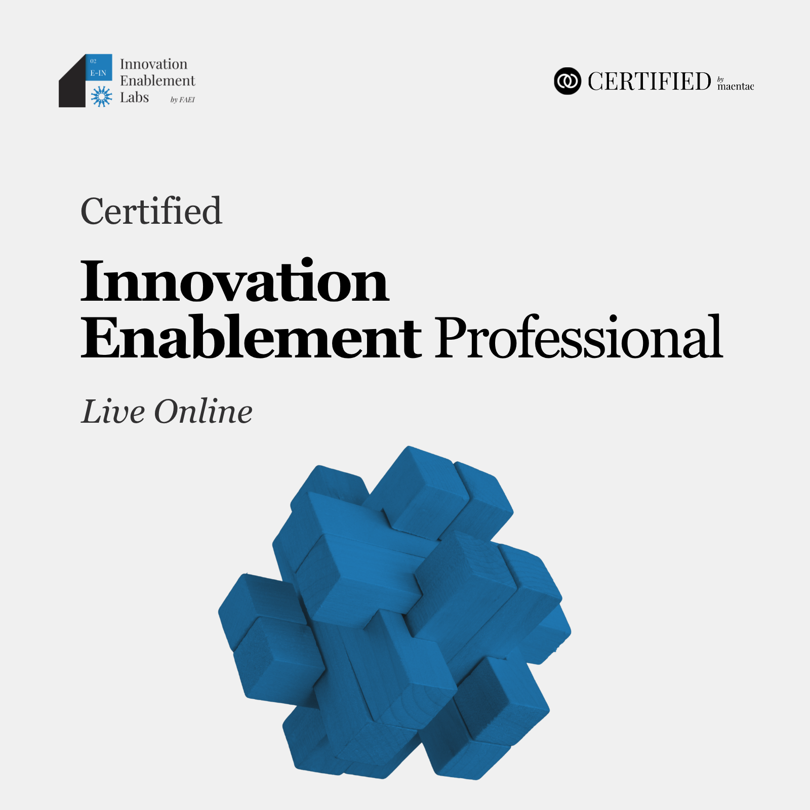 Innovation Enablement Professional