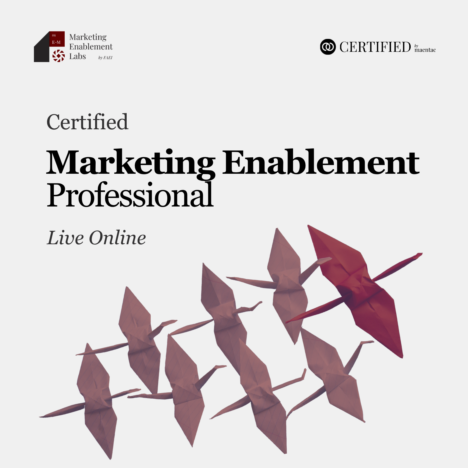 Marketing Enablement Professional - LO