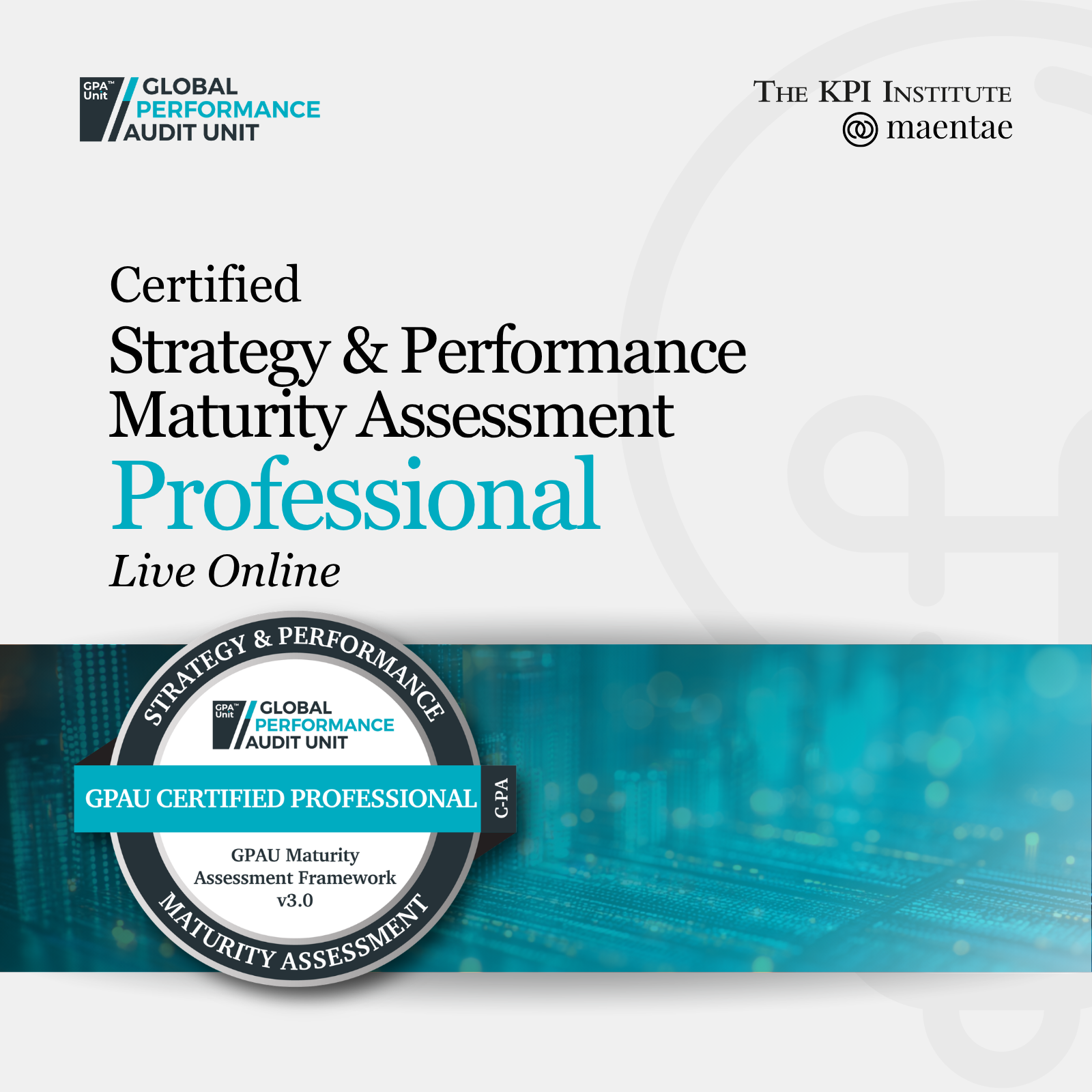 Certified Strategy and Performance Maturity Assessment Professional LO