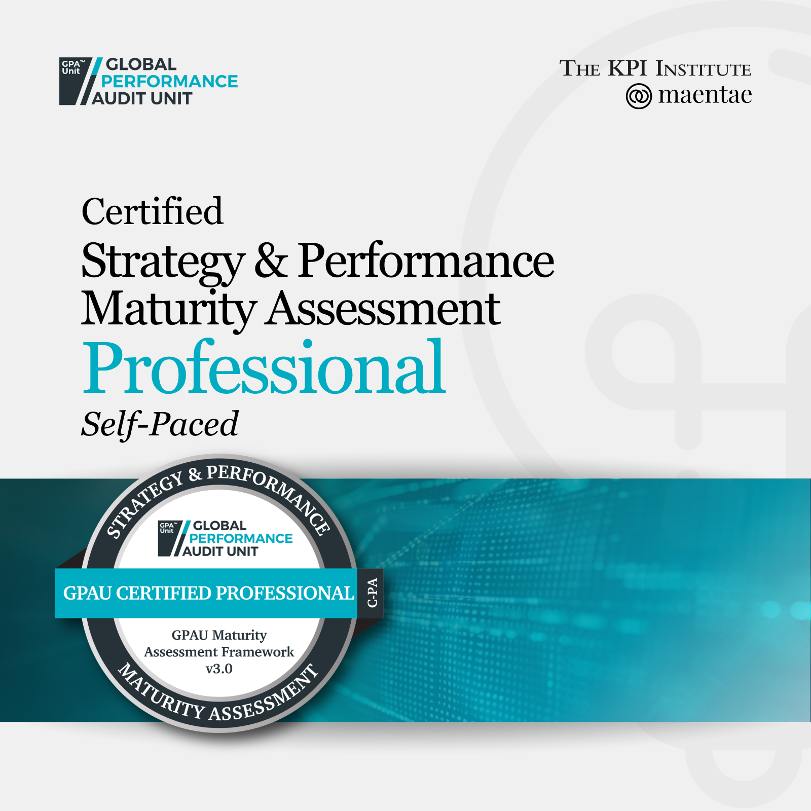 Certified Strategy and Performance Maturity Assessment Professional SP