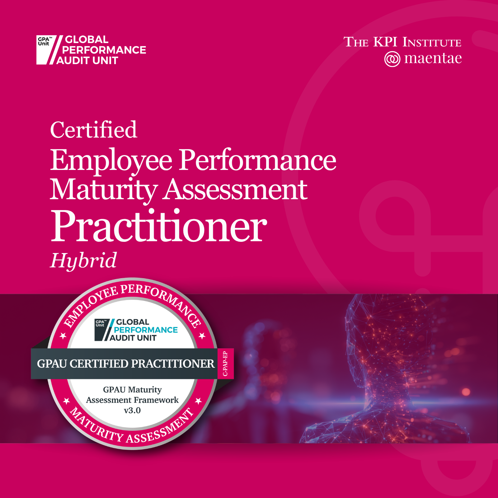 Employee Performance Management / Certified Employee Performance Maturity Assessment Practitioner