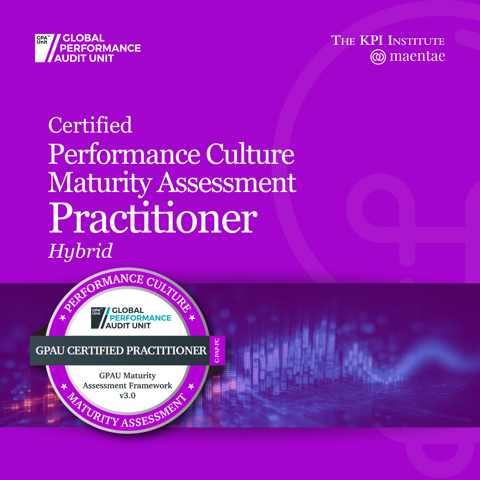 Performance Culture/ 
Certified Performance Culture Maturity Assessment Practitioner