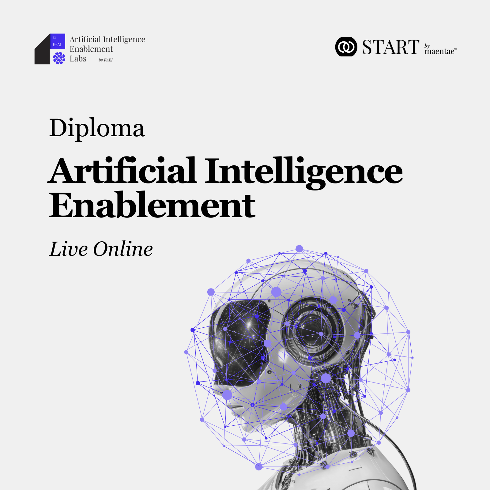 AI Enablement Diploma - LO