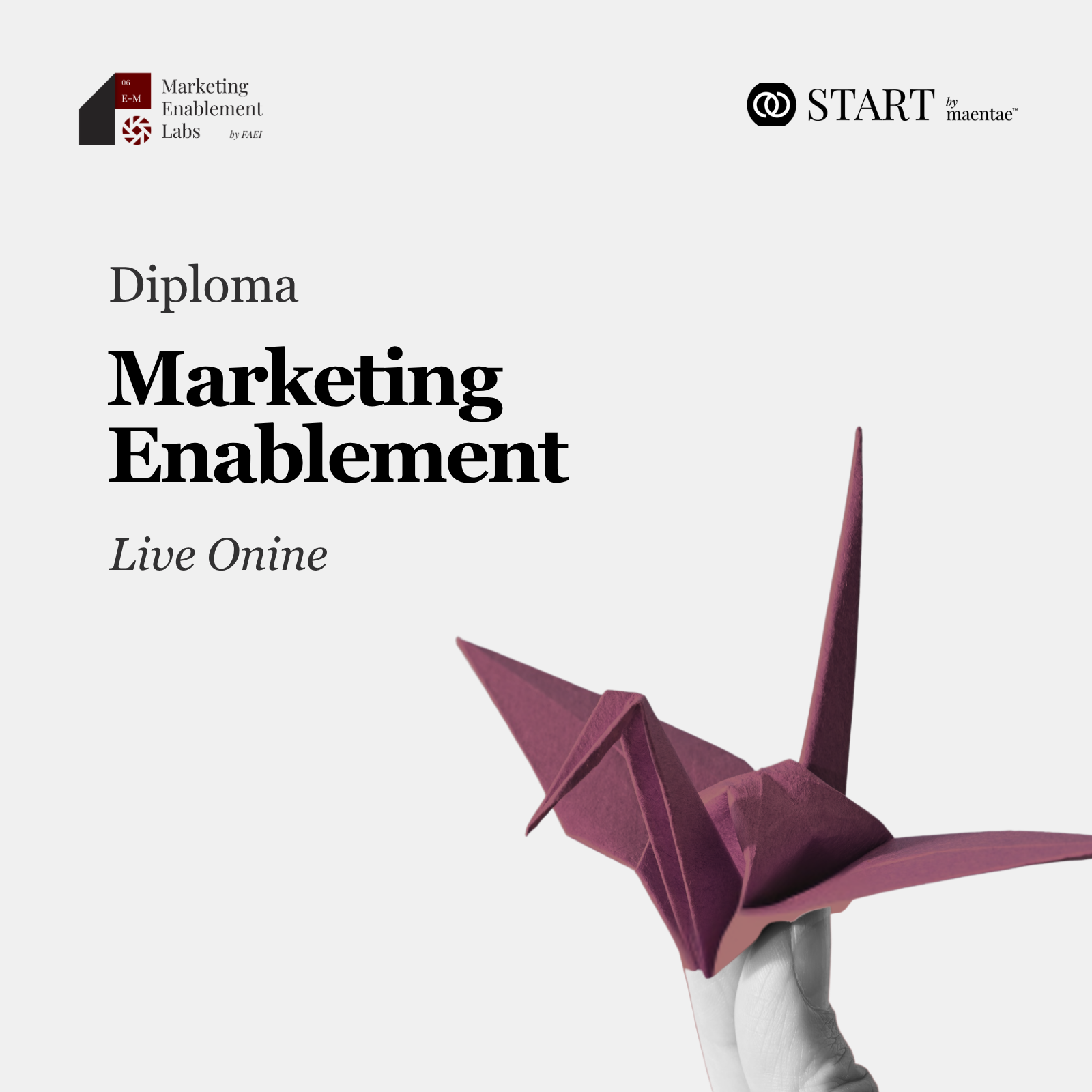 Marketing Enablement Diploma - LO