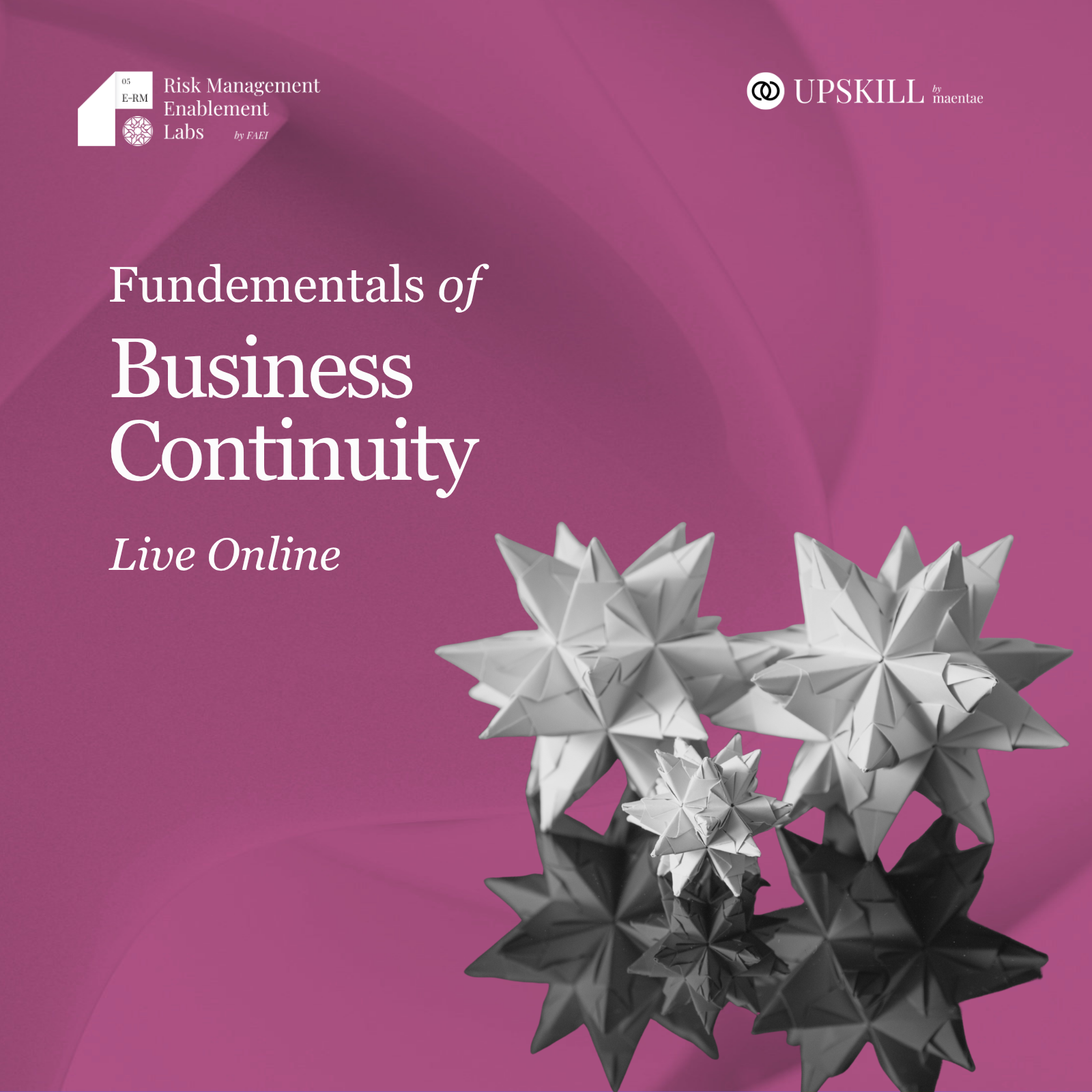 Fundamentals of Business Continuity